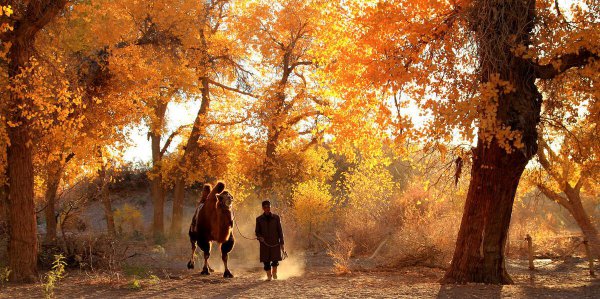 黑水城遗址在什么地方