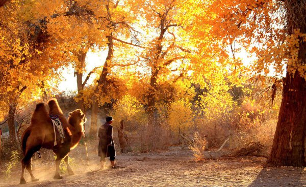 黑水城遗址在什么地方