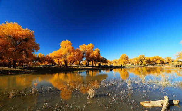 黑水城遗址在什么地方