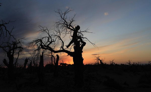 黑水城遗址在什么地方