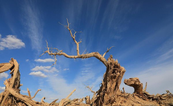 黑水城遗址在什么地方