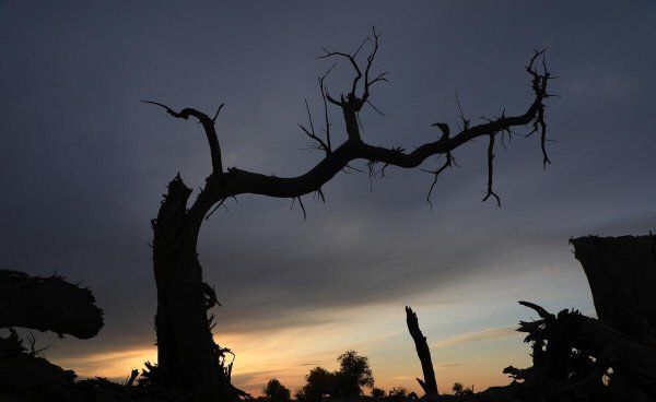 黑水城遗址在什么地方