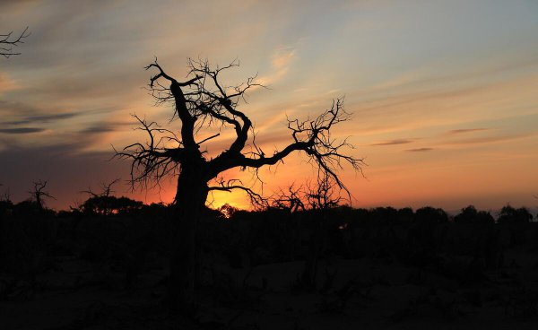 黑水城遗址在什么地方