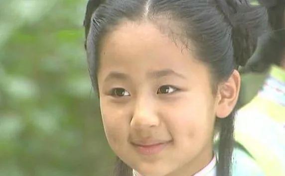 杨紫演过的电视剧