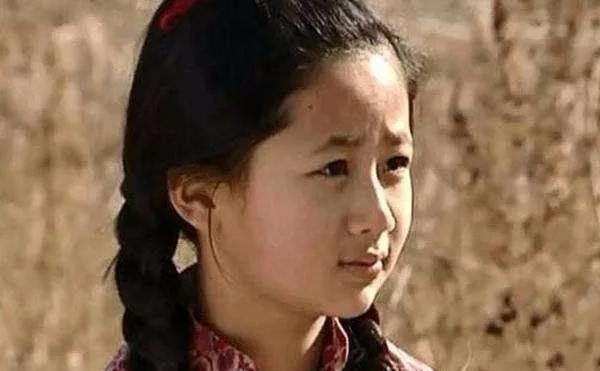 杨紫演过的电视剧