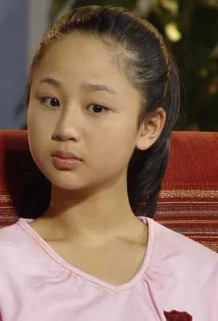 杨紫演过的电视剧