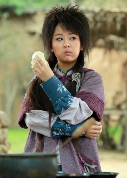 杨紫演过的电视剧