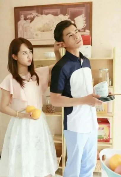 杨紫演过的电视剧