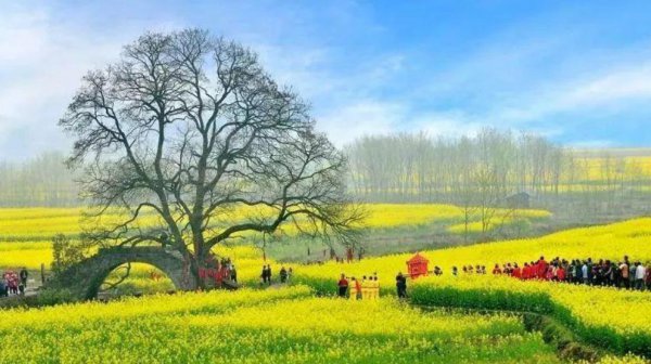 清明节都有哪些风俗特点