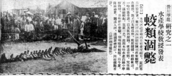 中国十大不敢公开的灵异事件