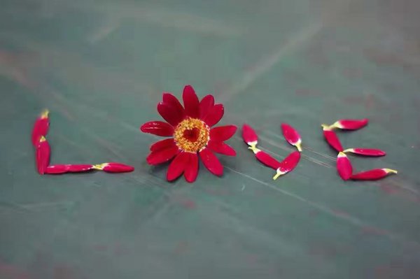 两口子吵架应该怎么解决