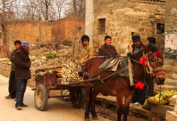 重庆男孩红衣真实事件