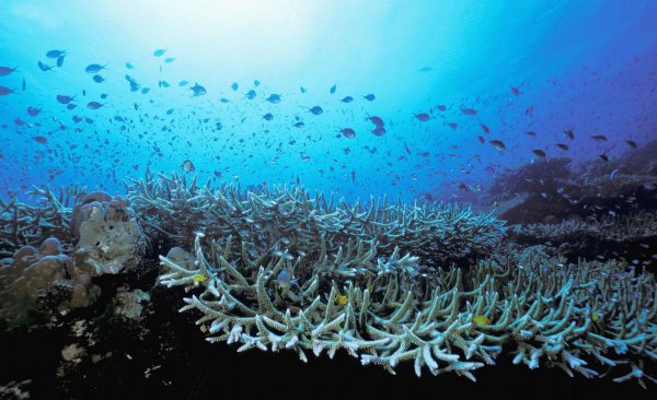 世界岛屿面积排名前十国家