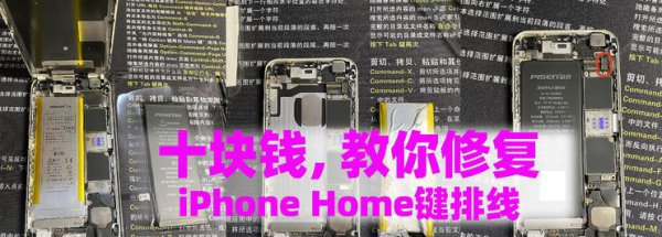 home键失灵维修多少钱
