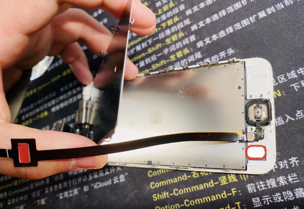 home键失灵维修多少钱