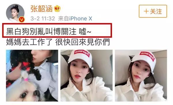 张韶涵经历了什么大事件始末