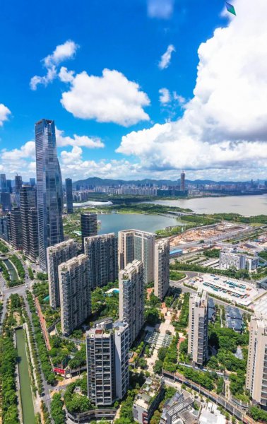 深圳公认的第一富人区在哪里