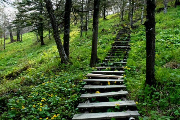 解释宁静致远的含义是什么