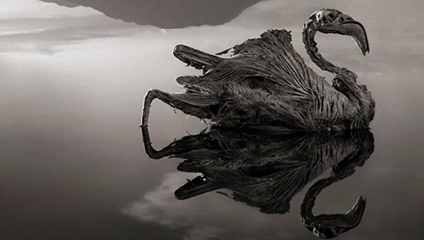 世界八大恐怖禁区故事及图片