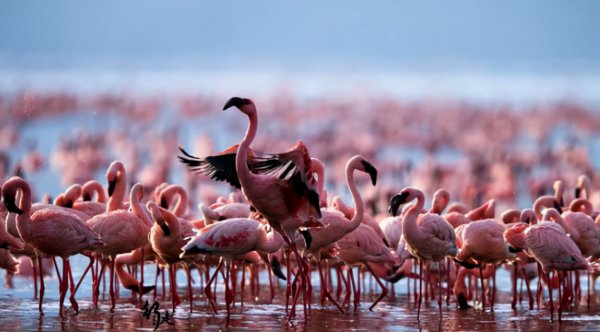 世界八大恐怖禁区故事及图片