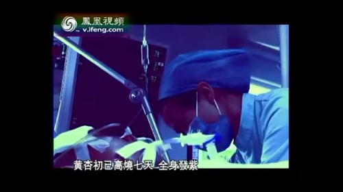 非典后来为什么消失了