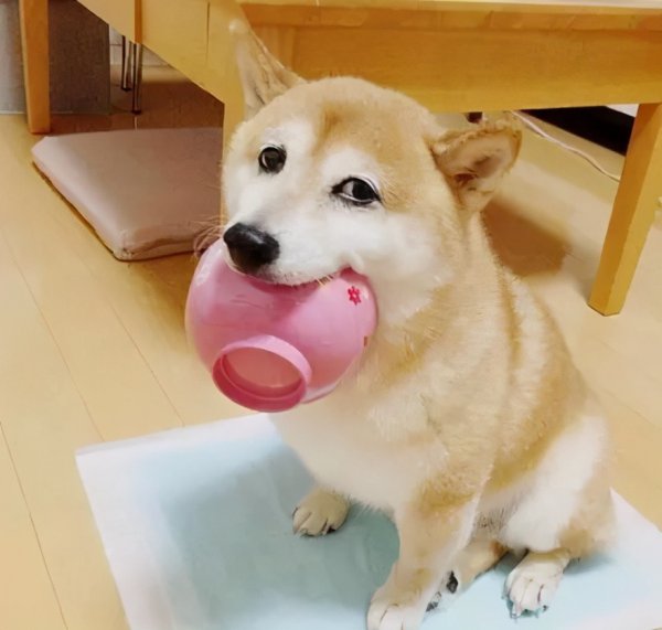 委内瑞拉面积和人口数量介绍