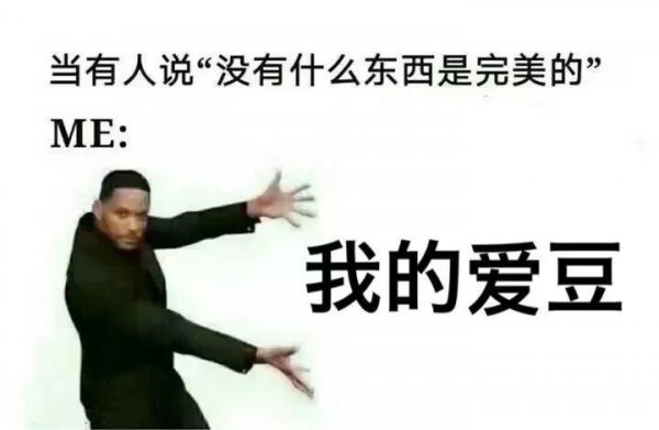solo追星是什么意思