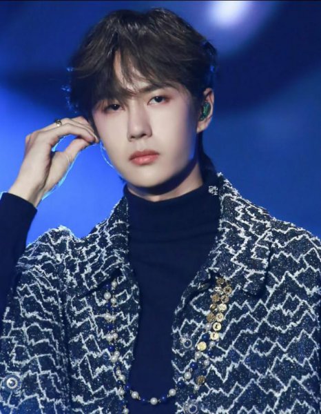 solo追星是什么意思