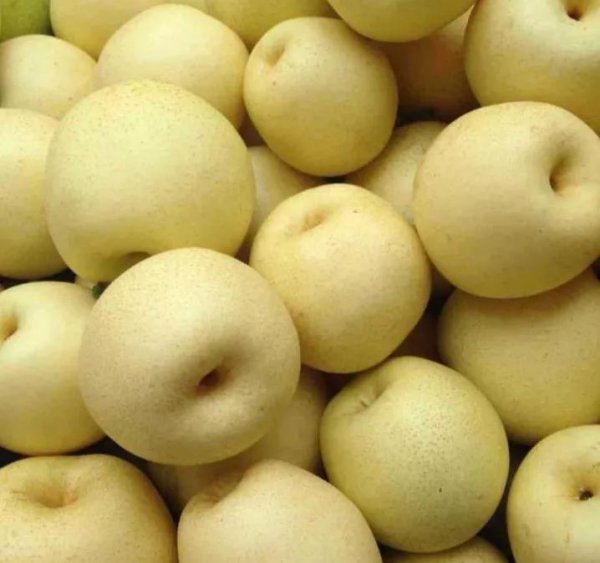 上坟用的祭祀用品有什么