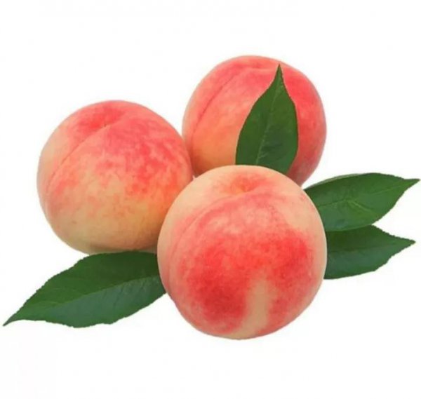 上坟用的祭祀用品有什么