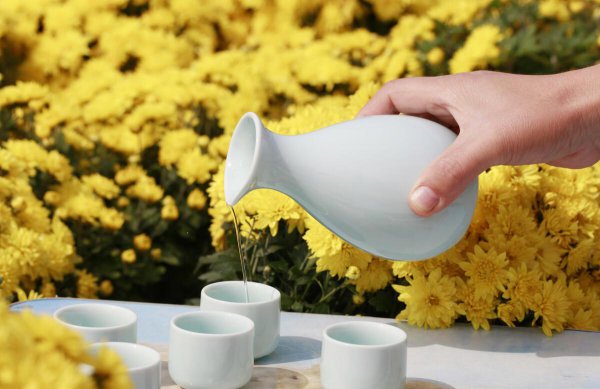 菊花酒是在什么节日喝