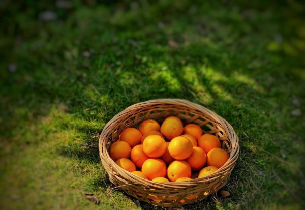 广东省廉江市属于哪个市