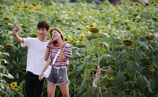 广东省廉江市属于哪个市