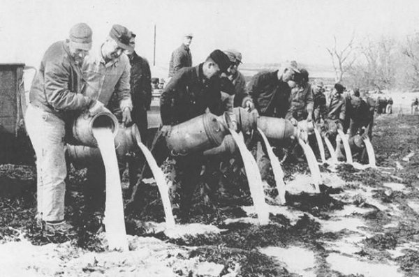 1929年著名的倒牛奶事件分析