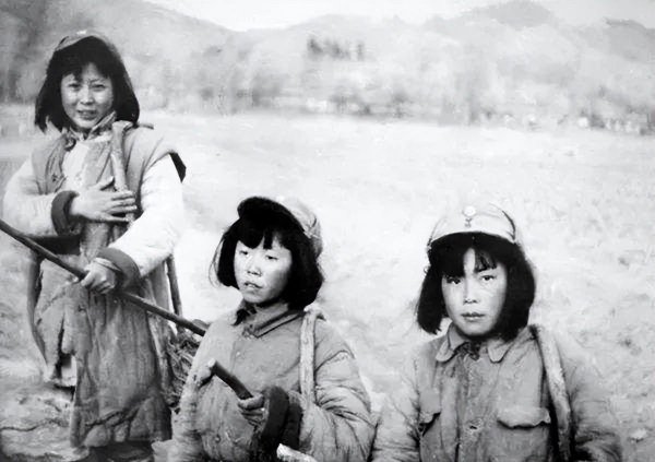 二战伤亡总人数是多少