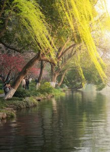 西湖十景是哪十景 西湖著名的十大景点名称及简单介绍
