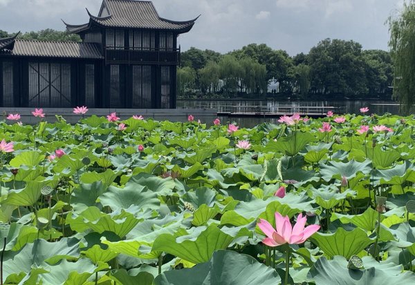 西湖十景是哪十景