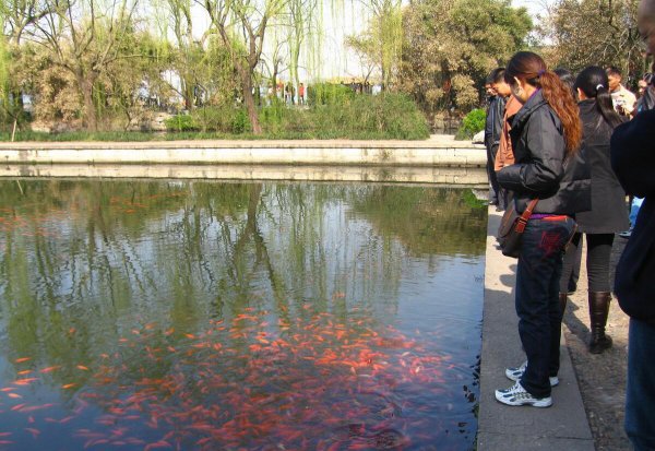 西湖十景是哪十景