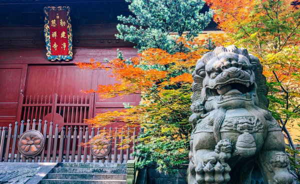 西湖十景是哪十景