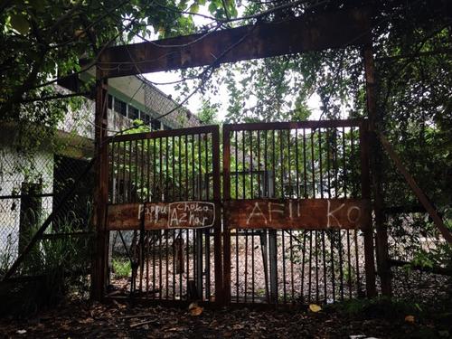 哪个小学闹过鬼