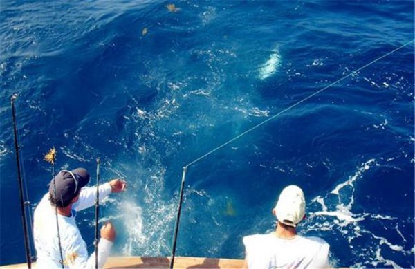 海钓鱼竿选择从哪里入手