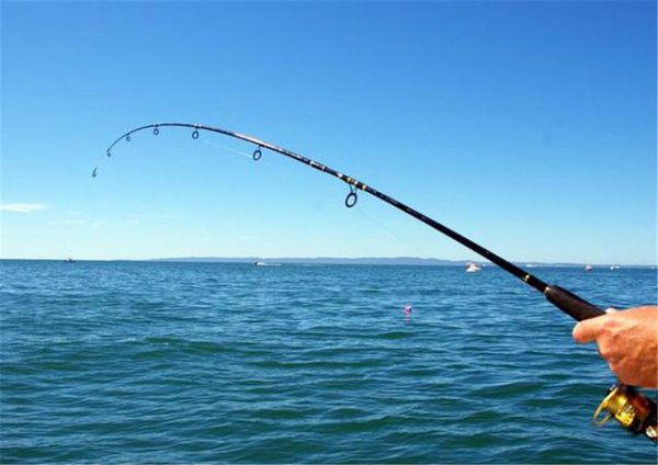 海钓鱼竿选择从哪里入手