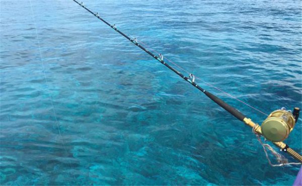 海钓鱼竿选择从哪里入手