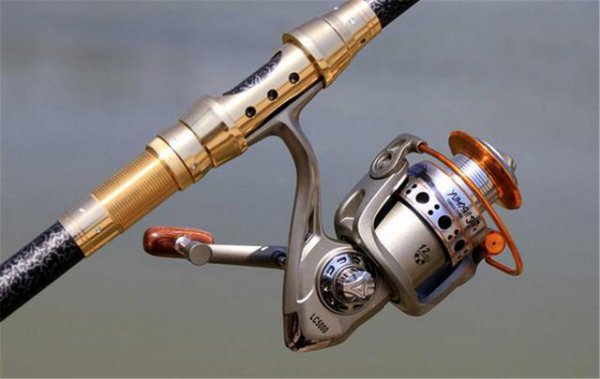 海钓鱼竿选择从哪里入手