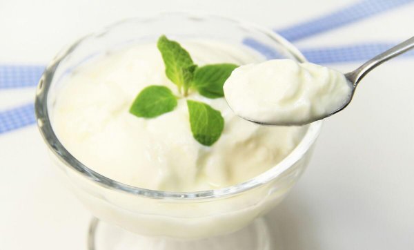 十种简单的自制猫咪食谱