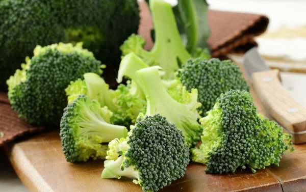 十种简单的自制猫咪食谱