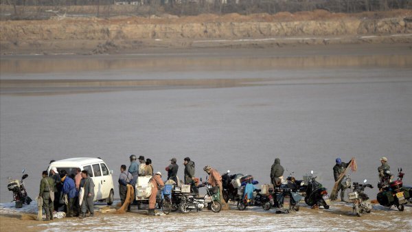 鲤鱼能长多大多重