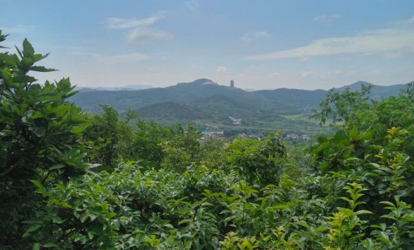 乾隆九龙宝剑现在在何处