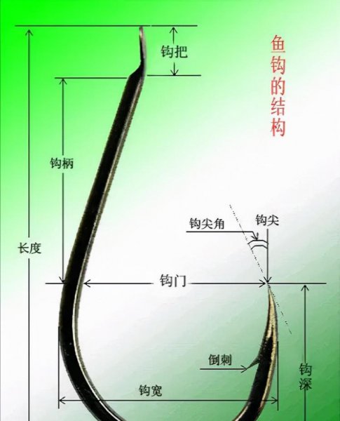 为什么伊势尼鱼钩容易跑鱼