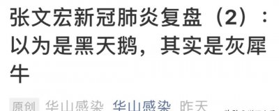 黑犀牛和黑天鹅是什么意思 黑天鹅灰犀牛事件有什么区别